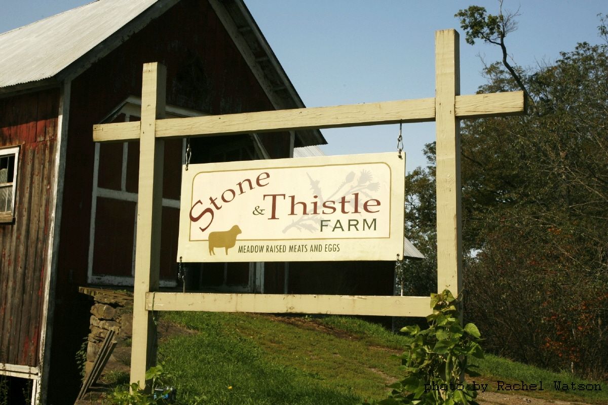 Stone & Thistle Farm